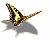 ANIMATED BUTTERFLY