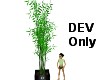 Giant Potted Bamboo DEV