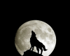 sland moon sea