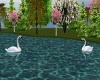 Animated Swans