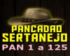 Mix Pancadão Sertanejo