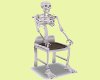 Ani Skeleton Chair