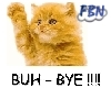 Buh Bye Cat