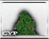[CP]Xmas Tree
