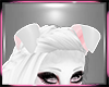 Brella Ears V.1