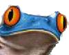 frogs and butterflies