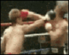 Punch Kick Fight Actions