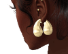 S. Duel Drop Earring/G