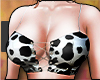 cow t