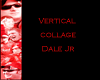 Dale Jr Vertical collage