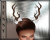 [J] Reindeer Antlers W