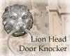 Lion Head Door 