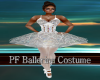 PF Ballerina Costume