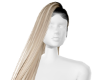 *Long Blonde Highlights