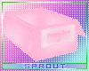 ⓢ Pink Poopy Box