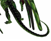 Green Dragon Tail F