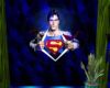 EF superman 2 rug