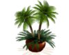 JPC Brown Potted Plant
