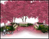 D- Cherry Blossom Park