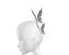 银铃蝴蝶.02