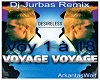 Direless - Voyage Voyage
