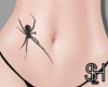 SH - Spider Belly Tattoo