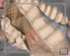Fall Puffer Jacket V2