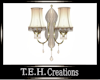 Wall Sconce Light