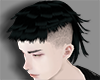 Punk