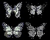 Black&White Butterflies