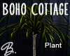*B* Boho Cottage Plant 2
