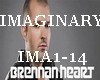 Imaginary