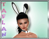 T* Bunny Outfit