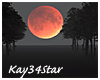 Blood Moon Forest