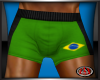 [JAX] BRAZIL SLAM SHORTS