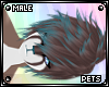 [PETS] Ezi | hair v4