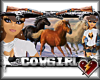 S LP cowgirl