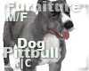 R|C Pitbull Grey Furn