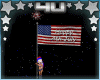 USA Flag Fireworks