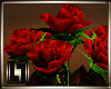 !LL! Divus Red Roses 1