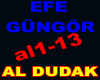 EFE GUNGOR AL DUDAK
