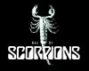 Background Scorpions KK