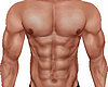 Shape Torso NL2
