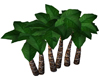 :) Palm Trees