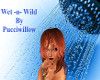 Wet & Wild Copper Hair