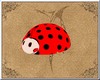 #Ladybug Kid Scaler Ride