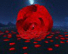 Romantic Valentine Rose