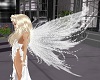 Fairy White Wings