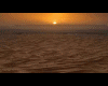 Desert Oasis por do sol