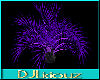 DJL-Draceano Purple
